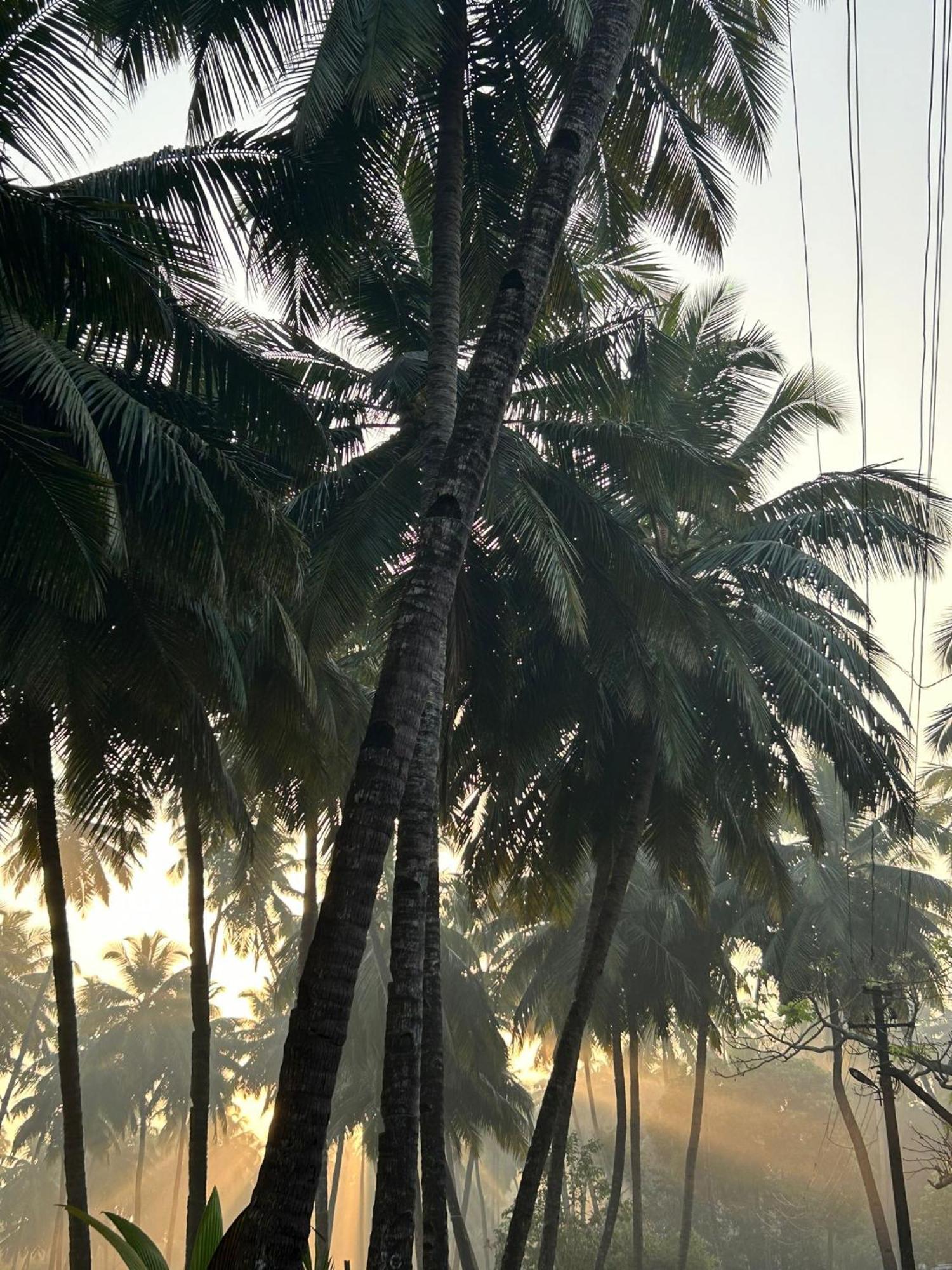 The Bungalow Bogmalo An 1880 Indo Portuguese Heritage Beach Villa South Goa 외부 사진