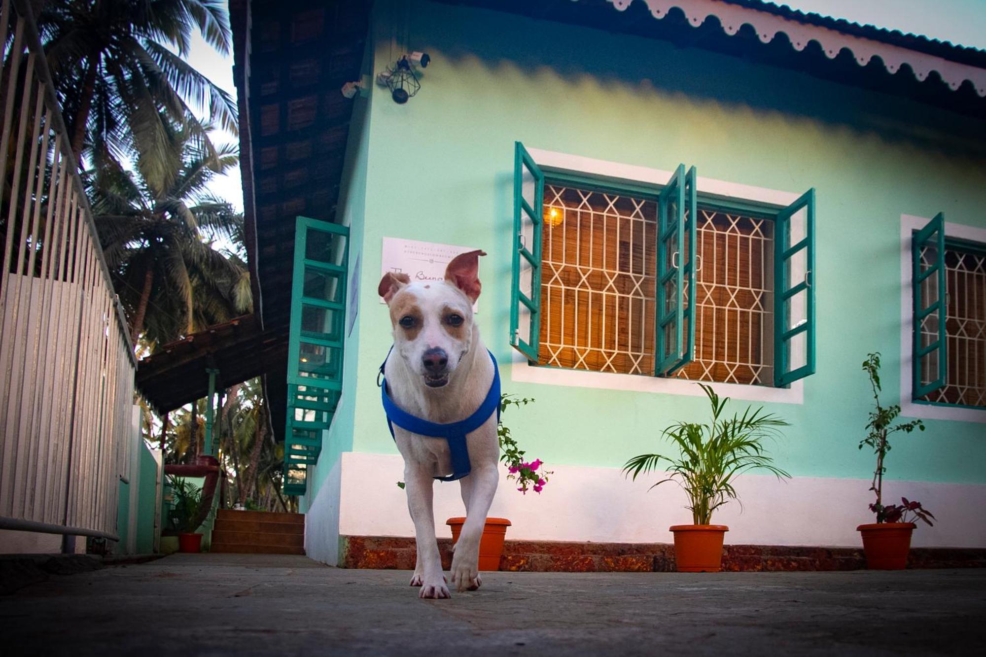 The Bungalow Bogmalo An 1880 Indo Portuguese Heritage Beach Villa South Goa 외부 사진