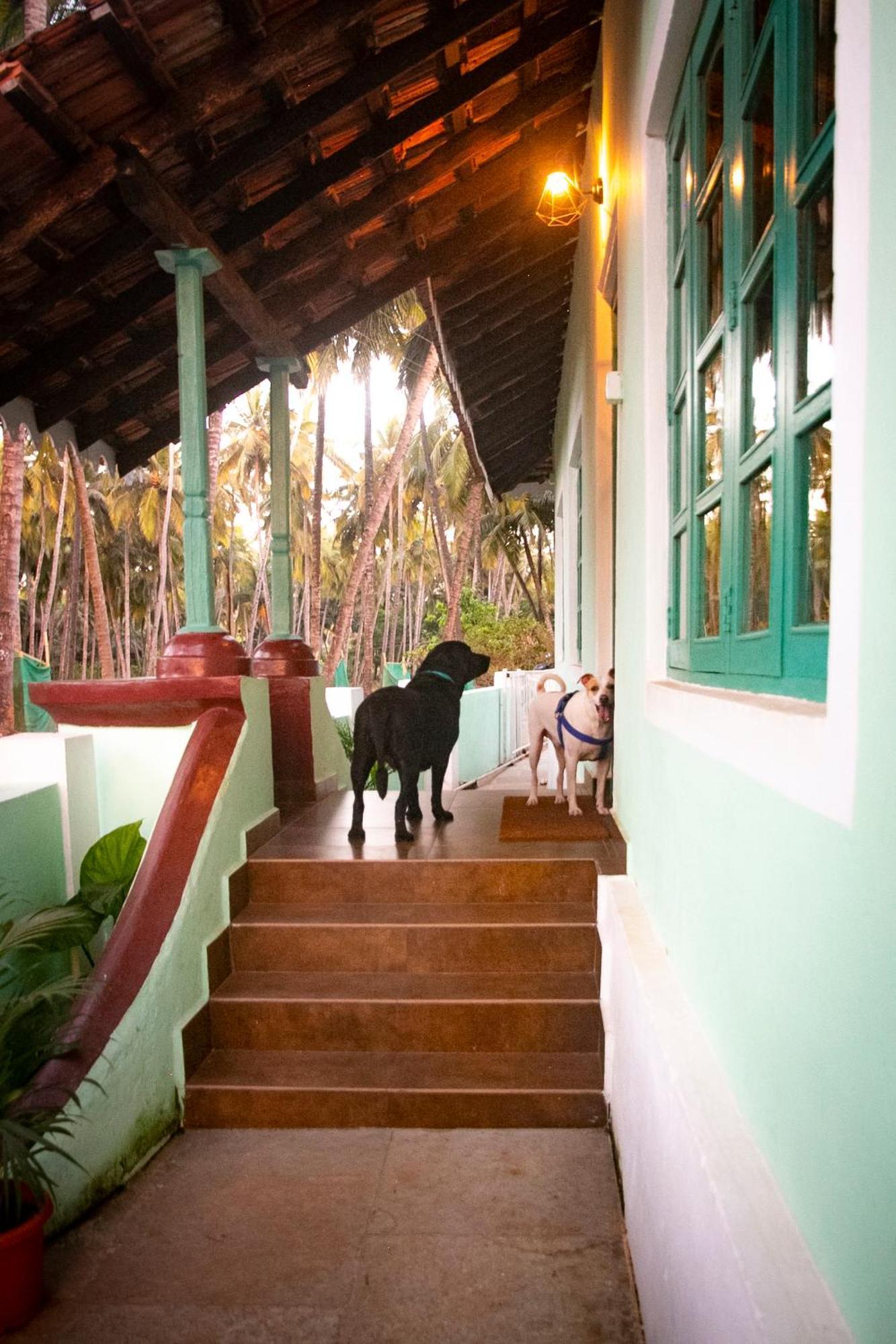 The Bungalow Bogmalo An 1880 Indo Portuguese Heritage Beach Villa South Goa 외부 사진